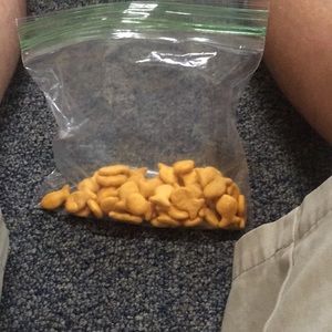 goldfish